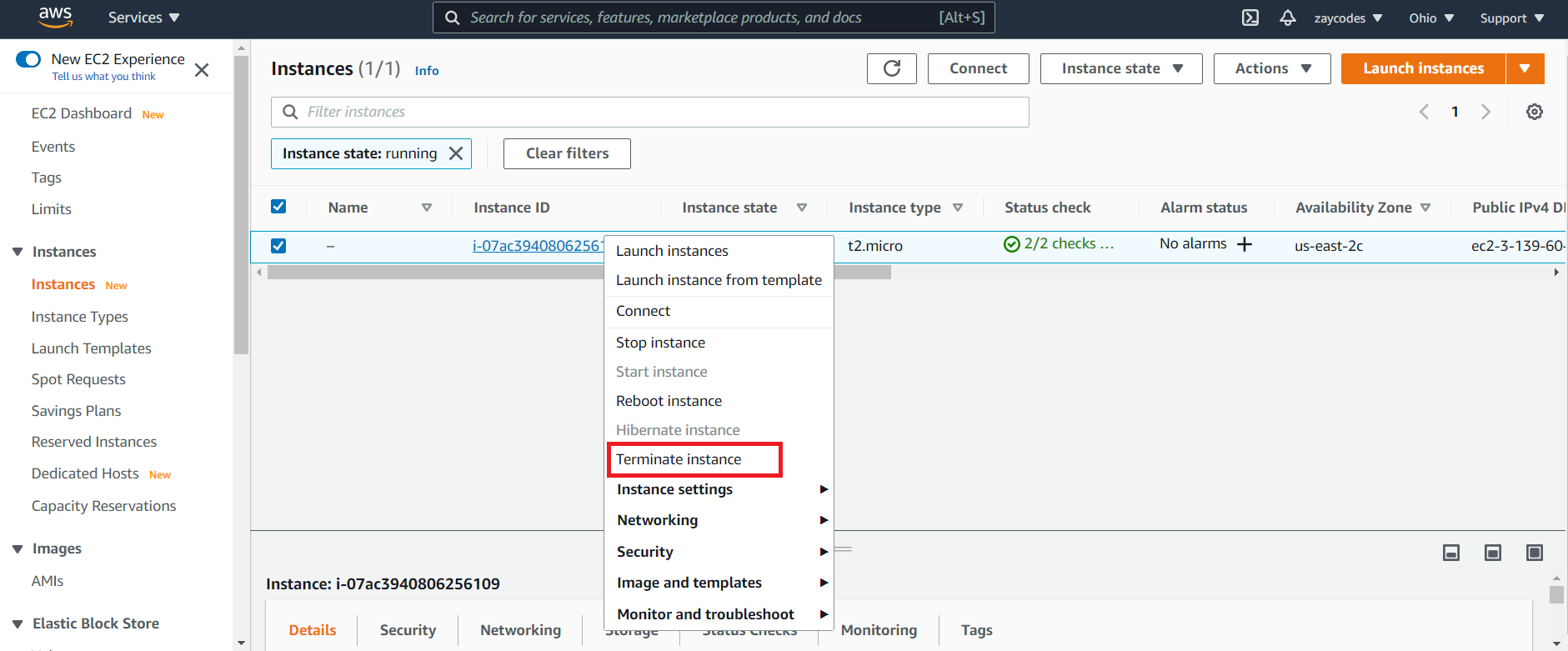 terminate instance